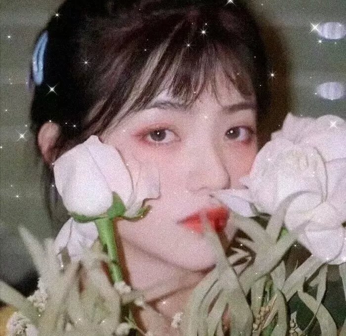 前方错爱请掉头